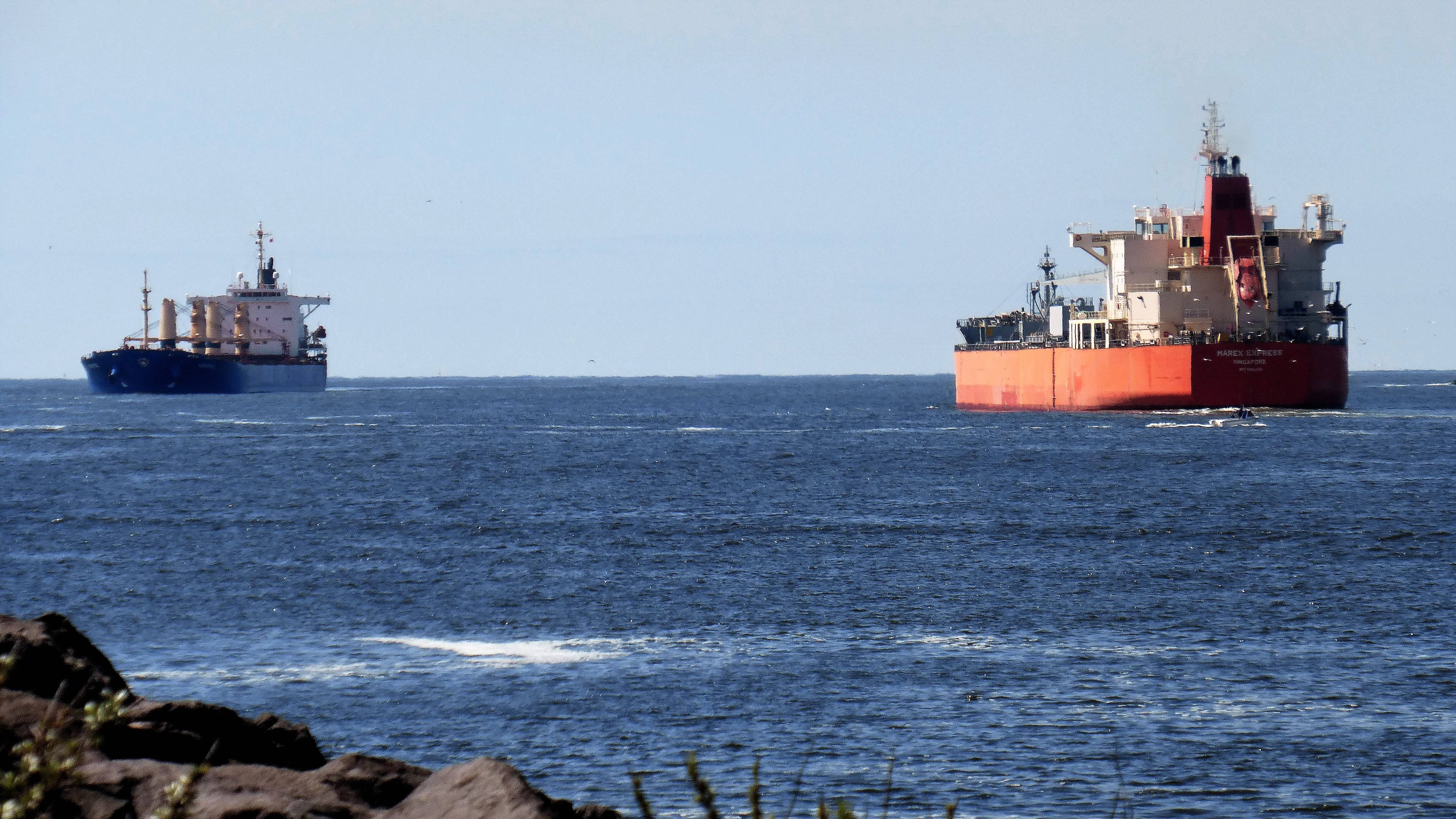 Pieren IJmuiden 10-05-17 